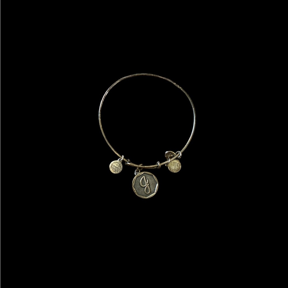 Alex and Ani Gold Charm Bracelet -  J